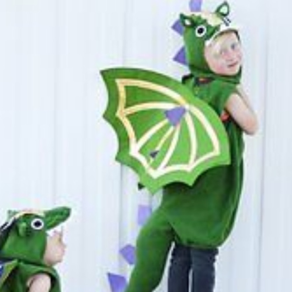 Pottery barn kids dragon costume 3T NWT